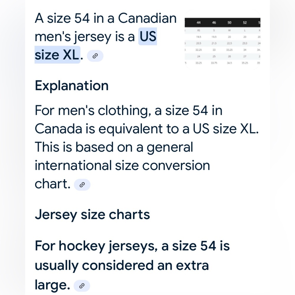 🏒HOST PICK 🏒REEBOK LUONGO VANCOUVER CANUCKS NHL CENTER ICE JERSEY Hall of Fame - Picture 6 of 12